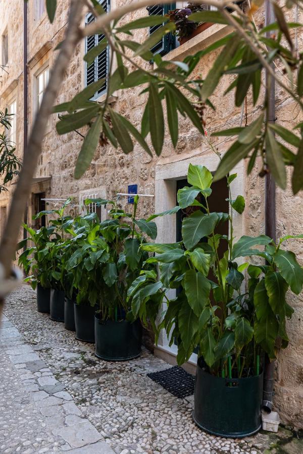 B&B Buza House Dubrovnik Exterior photo